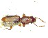  ( - BC-LNEF-2023-231)  @11 [ ] CreativeCommons Attribution (2023) Thomas Barnouin Unspecified