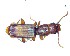  ( - BC-LNEF-2023-232)  @11 [ ] CreativeCommons Attribution (2023) Thomas Barnouin Unspecified