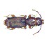  ( - BC-LNEF-2023-233)  @11 [ ] CreativeCommons Attribution (2023) Thomas Barnouin Unspecified