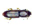  (Rhizophagus atticus - BC-LNEF-2023-241)  @11 [ ] CreativeCommons Attribution (2023) Thomas Barnouin Unspecified