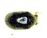  ( - BC-LNEF-2023-260)  @11 [ ] CreativeCommons Attribution (2023) Thomas Barnouin Unspecified