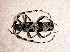  ( - BC-LNEF-2023-297)  @11 [ ] CreativeCommons Attribution (2023) Thomas Barnouin Unspecified