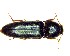  ( - BC-LNEF-2023-308)  @11 [ ] CreativeCommons Attribution (2023) Thomas Barnouin Unspecified
