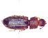 ( - BC-LNEF-2023-358)  @11 [ ] CreativeCommons Attribution (2023) Thomas Barnouin Unspecified
