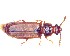  ( - BC-LNEF-2023-361)  @11 [ ] CreativeCommons Attribution (2023) Thomas Barnouin Unspecified