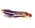  ( - BC-LNEF-2023-376)  @11 [ ] CreativeCommons Attribution (2023) Thomas Barnouin Unspecified