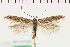  ( - NMPC-LEP-1073)  @11 [ ] by-nc-sa (2021) Jan Sumpich National Museum of Natural History, Prague