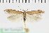  ( - NMPC-LEP-1090)  @11 [ ] by-nc-sa (2021) Jan Sumpich National Museum of Natural History, Prague