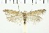  ( - NMPC-LEP-0611)  @11 [ ] by-nc-sa (2021) Jan Sumpich National Museum of Natural History, Prague