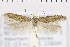  ( - NMPC-LEP-0926)  @11 [ ] by-nc-sa (2021) Jan Sumpich National Museum of Natural History, Prague