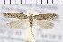  ( - NMPC-LEP-0929)  @11 [ ] by-nc-sa (2021) Jan Sumpich National Museum of Natural History, Prague