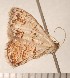  ( - CLV3086)  @13 [ ] Copyright (2010) David C. Lees Unspecified
