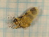  ( - CLV3689)  @12 [ ] Copyright (2011) Olivier Bouteleux Unspecified
