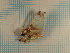  ( - CLV3742)  @13 [ ] Copyright (2011) Olivier Bouteleux Unspecified