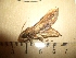  ( - CLV3763)  @12 [ ] Copyright (2011) Olivier Bouteleux Unspecified