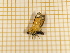  ( - CLV4405)  @13 [ ] Copyright (2012) Olivier Bouteleux Unspecified