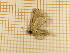  ( - CLV4406)  @12 [ ] Copyright (2012) Olivier Bouteleux Unspecified
