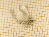  ( - CLV440912)  @12 [ ] Copyright (2012) Olivier Bouteleux Unspecified