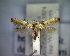  ( - CLV5196)  @11 [ ] Copyright (2012) Olivier Bouteleux Unspecified