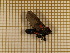  ( - CLV3800)  @12 [ ] Copyright (2011) Olivier Bouteleux Unspecified