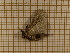  ( - CLV3815)  @12 [ ] Copyright (2011) Olivier Bouteleux Unspecified