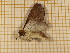  ( - CLV3862)  @12 [ ] Copyright (2012) Olivier Bouteleux Unspecified