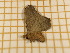 ( - CLV3911)  @12 [ ] Copyright (2012) Olivier Bouteleux Unspecified