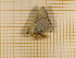  ( - CLV3915)  @12 [ ] Copyright (2012) Olivier Bouteleux Unspecified