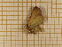  ( - CLV3929)  @12 [ ] Copyright (2012) Olivier Bouteleux Unspecified