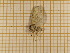  ( - CLV3935)  @12 [ ] Copyright (2012) Olivier Bouteleux Unspecified
