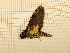  ( - CLV3961)  @12 [ ] Copyright (2012) Olivier Bouteleux Unspecified