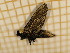  ( - CLV3968)  @12 [ ] Copyright (2012) Olivier Bouteleux Unspecified