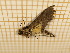  ( - CLV3970)  @12 [ ] Copyright (2012) Olivier Bouteleux Unspecified