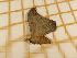  ( - CLV4026)  @12 [ ] Copyright (2012) Olivier Bouteleux Unspecified