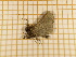  ( - CLV4042)  @12 [ ] Copyright (2012) Olivier Bouteleux Unspecified
