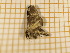  ( - CLV4043)  @12 [ ] Copyright (2012) Olivier Bouteleux Unspecified
