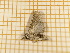  ( - CLV4123)  @12 [ ] Copyright (2012) Olivier Bouteleux Unspecified