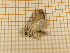  ( - CLV4157)  @12 [ ] Copyright (2012) Olivier Bouteleux Unspecified