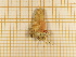  ( - CLV4190)  @12 [ ] Copyright (2012) Olivier Bouteleux Unspecified