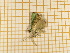  ( - CLV4201)  @12 [ ] Copyright (2012) Olivier Bouteleux Unspecified