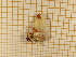 ( - CLV4213)  @12 [ ] Copyright (2012) Olivier Bouteleux Unspecified