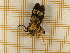  ( - CLV5335)  @12 [ ] Copyright (2012) Olivier Bouteleux Unspecified