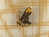  ( - CLV5363)  @12 [ ] Copyright (2012) Olivier Bouteleux Unspecified