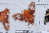  ( - NS-RR0195)  @13 [ ] Copyright (2011) Rodolphe Rougerie University de Rouen