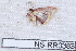  ( - NS-RR0383)  @12 [ ] Copyright (2011) Rodolphe Rougerie University de Rouen