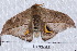  ( - NS-RR0983)  @13 [ ] Copyright (2011) Rodolphe Rougerie University de Rouen