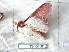  ( - NS-RR1812)  @13 [ ] Copyright (2011) Rodolphe Rougerie University de Rouen