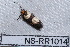  ( - NS-RR1014)  @12 [ ] Copyright (2011) Rodolphe Rougerie University de Rouen