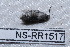  ( - NS-RR1517)  @12 [ ] Copyright (2011) Rodolphe Rougerie University de Rouen