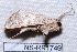  ( - NS-RR1749)  @13 [ ] Copyright (2011) Rodolphe Rougerie University de Rouen